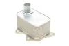Радіатор масляний SEAT; VW; SKODA; AUDI (вир-во) Van Wezel 03013704 (фото 2)