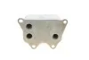 Радіатор масляний SEAT; VW; SKODA; AUDI (вир-во) Van Wezel 03013704 (фото 3)
