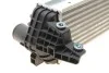 Интеркулер FORD TOURNEO/TRANSIT 1.8TDCi (выр-во) Van Wezel 18004443 (фото 4)