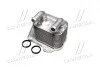 Радиатор масляный OPEL Astra H 1.7 CDTi (выр-во) Van Wezel 37013713 (фото 2)