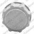 Бачок расширительный Vernet ET0015C1 (фото 2)