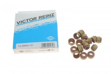 Сальники клапанов. VICTOR REINZ 12-29491-01