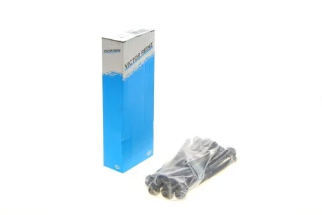 Комплект болтів гбц REINZ VICTOR REINZ 14-10013-01