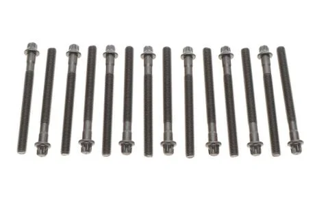 Комплект болтов гбц REINZ VICTOR REINZ 14-32101-01