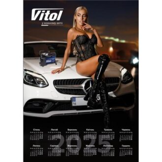 Плакат с календарем 2025 компрессор А3 (297x420) VITOL 00000063444
