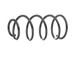 Пружина P. C30/S40 II/V50 2,0D/2,4 04- VOLVO 30666205