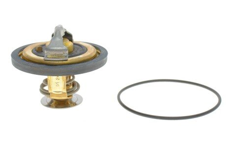 Термоастат WAHLER 4174.82D