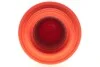 Воздушный фильтр WIX FILTERS WA6744 (фото 3)