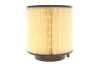 Воздушный фильтр WIX FILTERS WA9703 (фото 1)