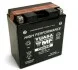 МОТО Yuasa 12V 18,9Ah High Performance MF VRLA Battery (сухозаряжений) YUASA YTX20CH-BS (фото 1)